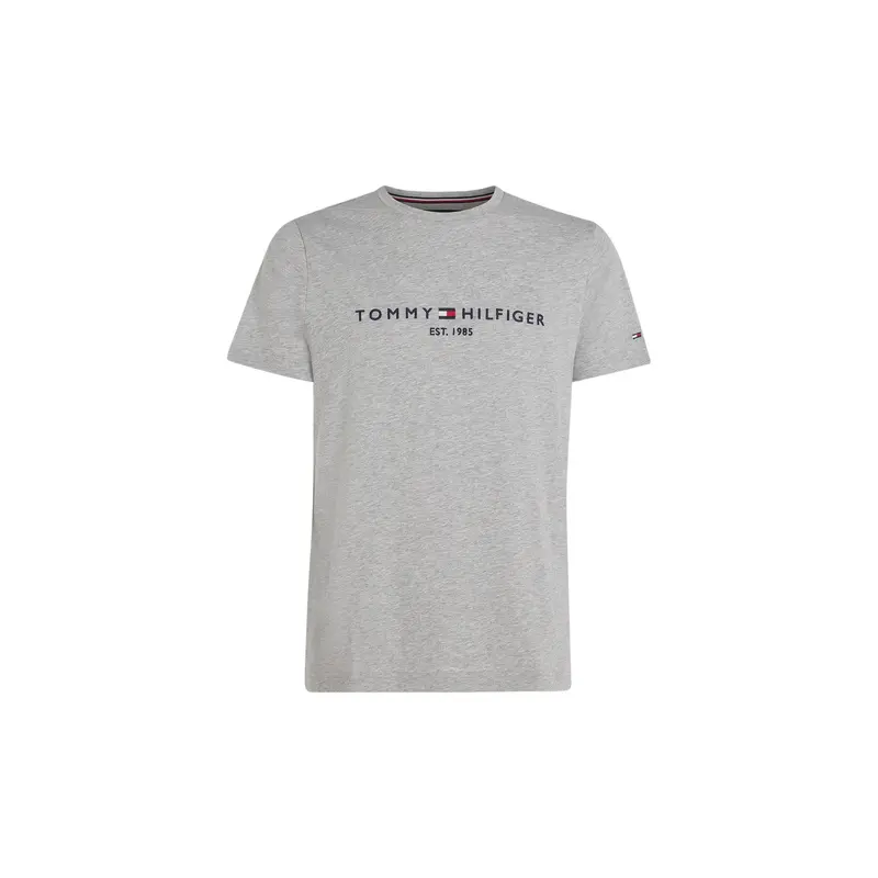 Core Tommy Logo T-Shirt