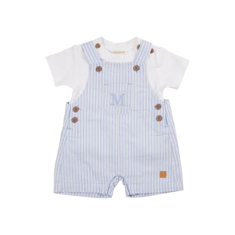 Blue Pinstripe T-Shirt & Short Dungaree