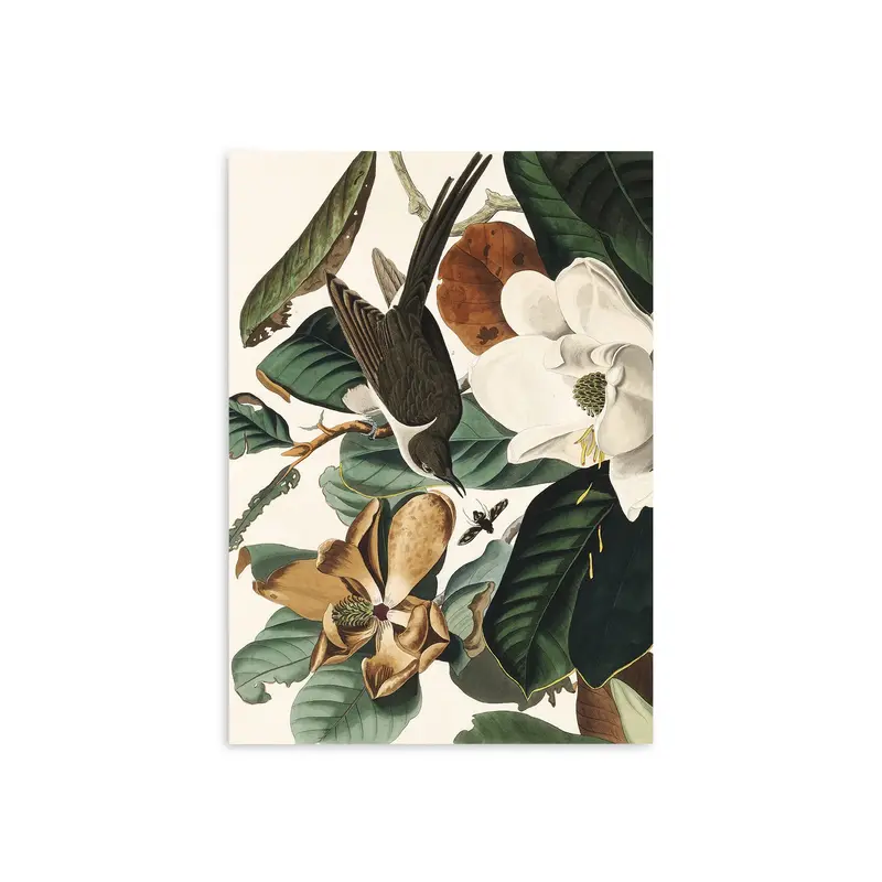 In the Magnolia Tree West