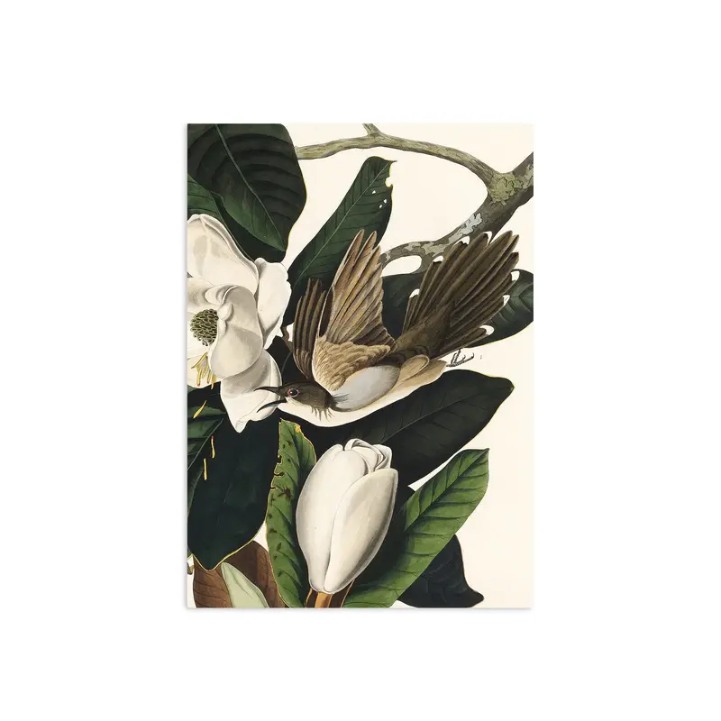 In the Magnolia Tree East