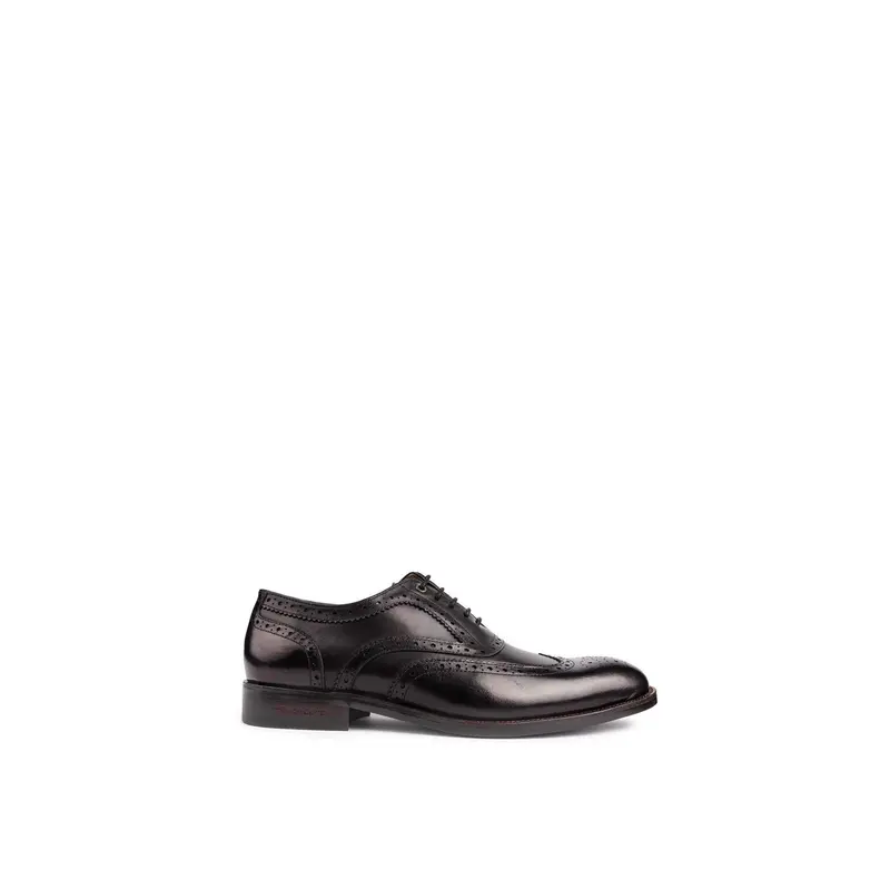 Barn Owl Brogue Shoes Black