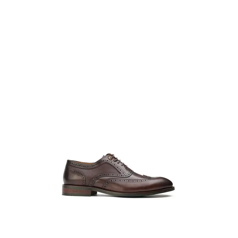 Diplodocus Leather Brogue Shoes Brown