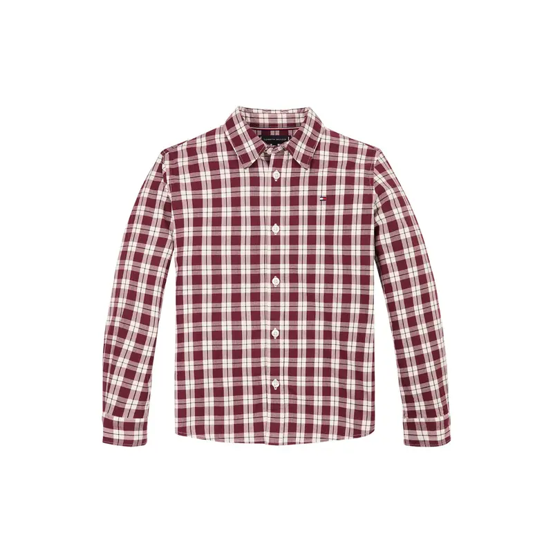 Small Check Regular Fit Shirt