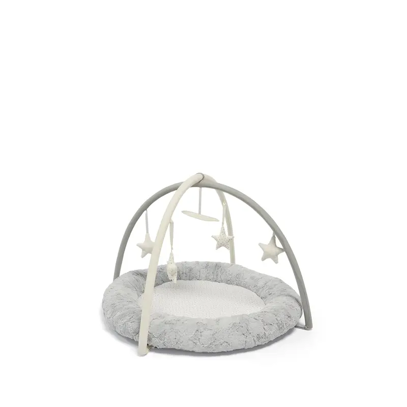 My First Playmat & Gym