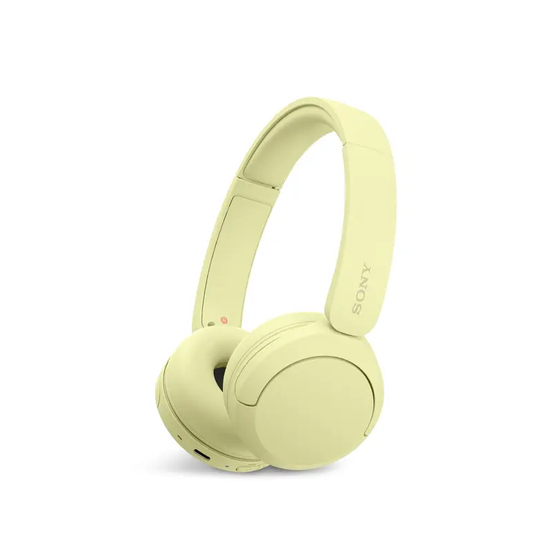 WHCH520Y Wireless Bluetooth Headphones