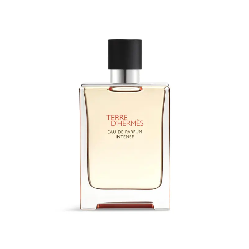 Terre d'Herms Eau de Parfum Intense 100 ml