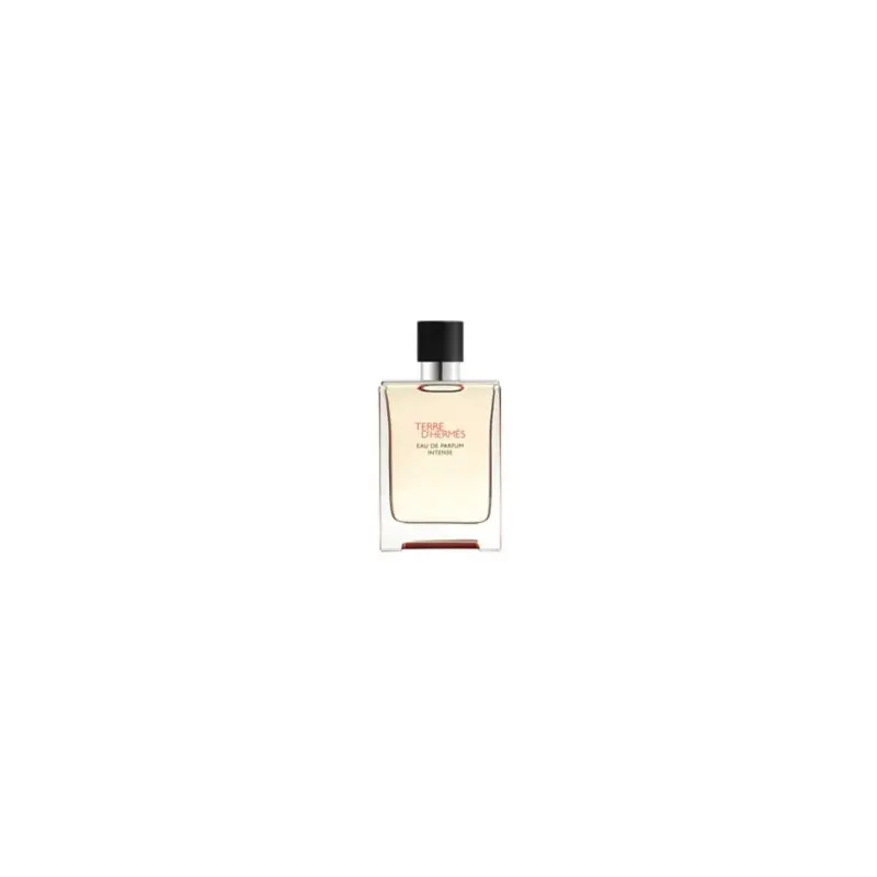 Terre d'Herms Eau de Parfum Intense 100ml