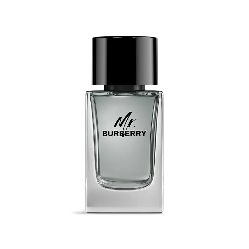 Mr. Burberry Eau de Toilette 100ml