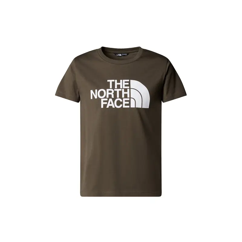 Easy Regular T-Shirt Taupe Green