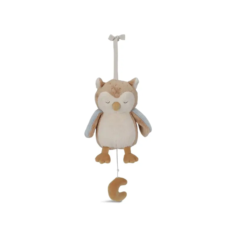 Forest Friends Owl Music Box Blue