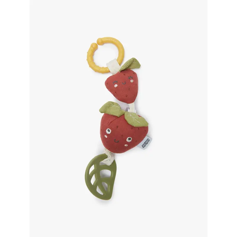 Garden Gang Strawberry Jitter Toy