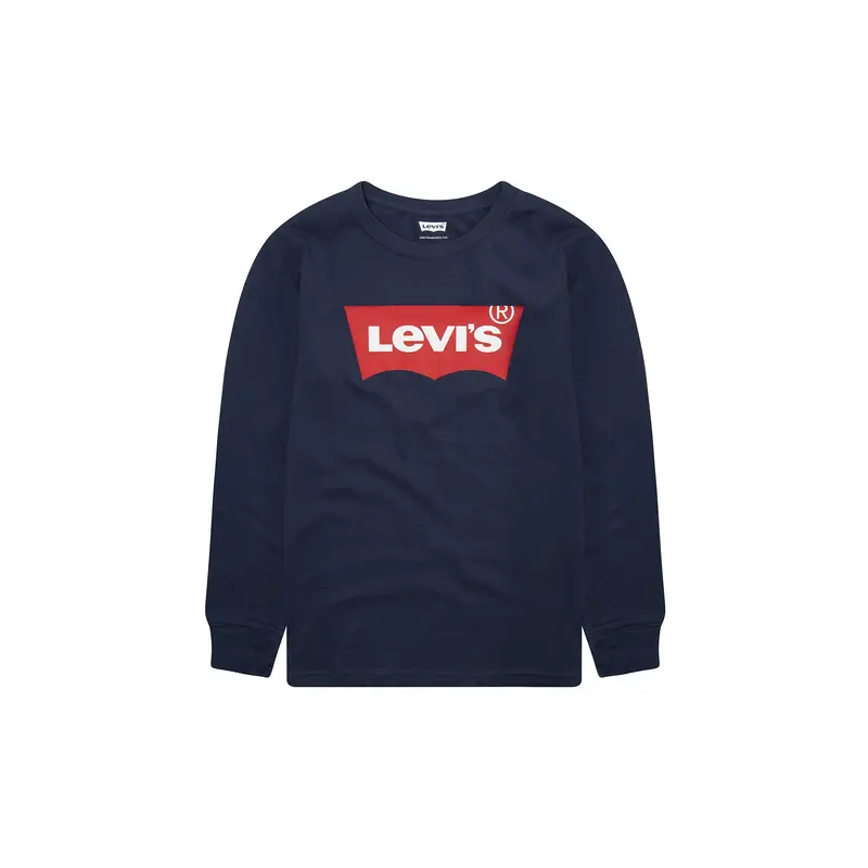 Long Sleeve Batwing Top Blue