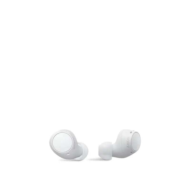 WFC510W Truly Wireless In ear Headphones