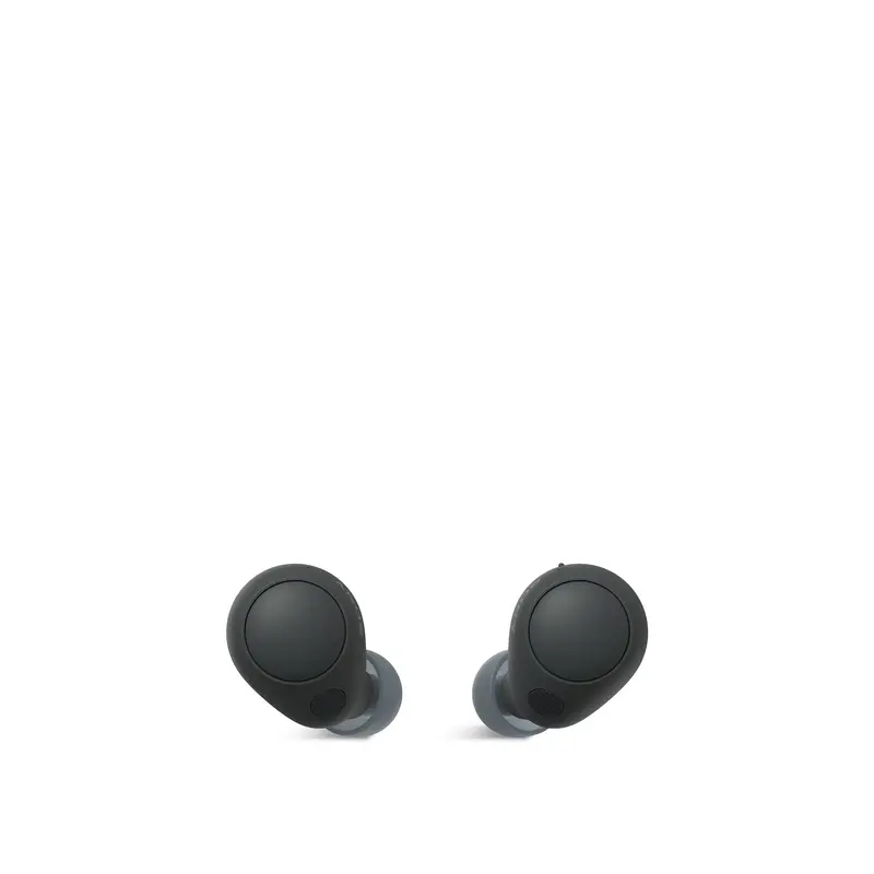 WFC700NB.CE7 Truly Wireless Noise Cancelling Headphones