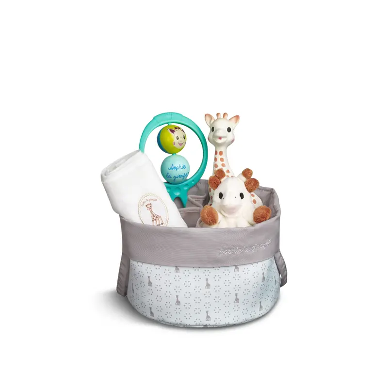 Once Upon a Time Birth Basket